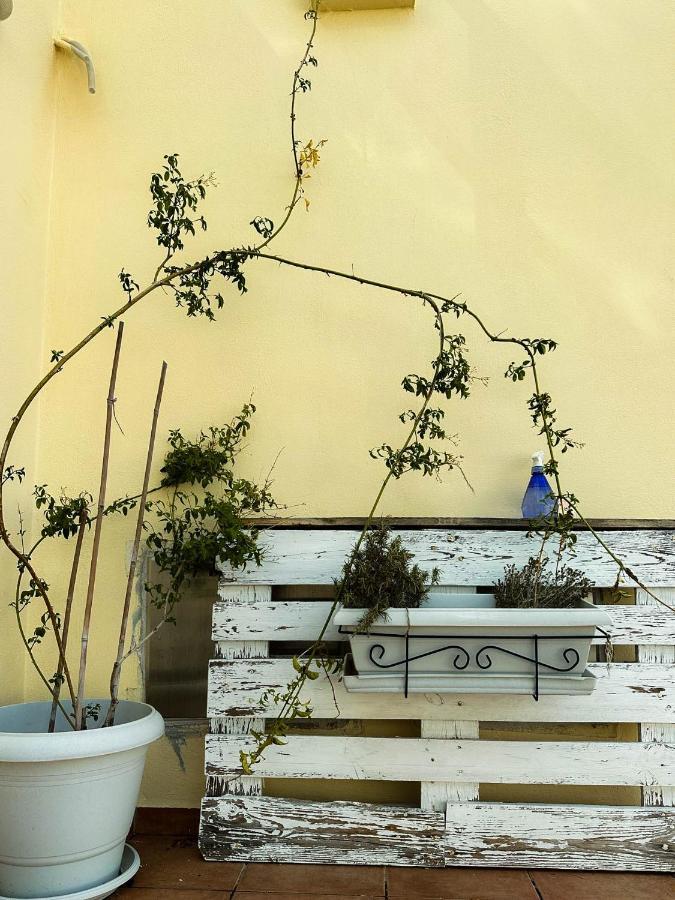 Beachnest Apartment Ajos Nikolaos Zewnętrze zdjęcie